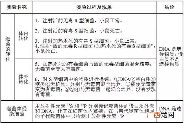 基因的分离规律及其实质,创业规律的实质是什么