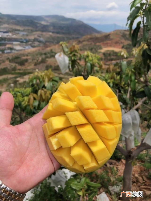 一元小食品厂家代理,5块5休闲零食进货渠道