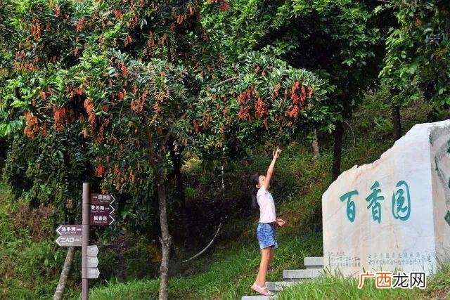 园林工程师证去哪里考,园林绿化工程师怎么考