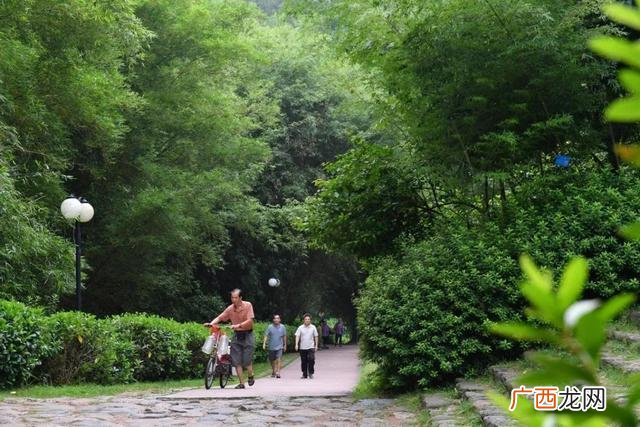 园林工程师证去哪里考,园林绿化工程师怎么考