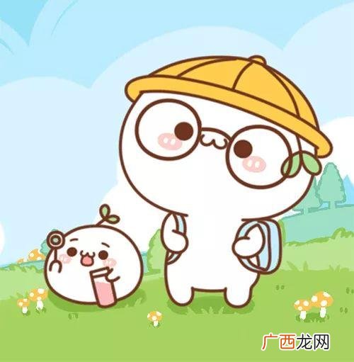 园林工程师证去哪里考,园林绿化工程师怎么考