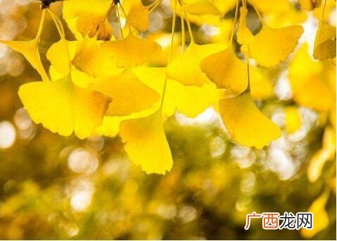 90后白手起家创业点子 创业新项目新商机小吃