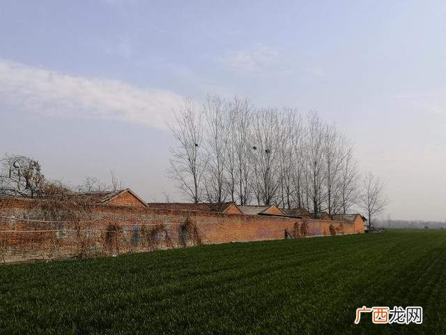 2021到底养啥子发财 2021年包地种什么挣钱快