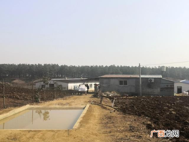 2021到底养啥子发财 2021年包地种什么挣钱快