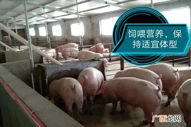2021到底养啥子发财 2021年包地种什么挣钱快