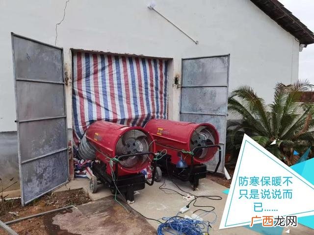2021到底养啥子发财 2021年包地种什么挣钱快