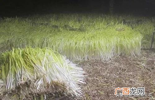 1万元如何创业找项目 万元投资赚钱的项目