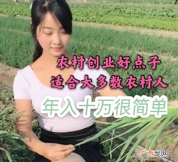 1万元如何创业找项目 万元投资赚钱的项目