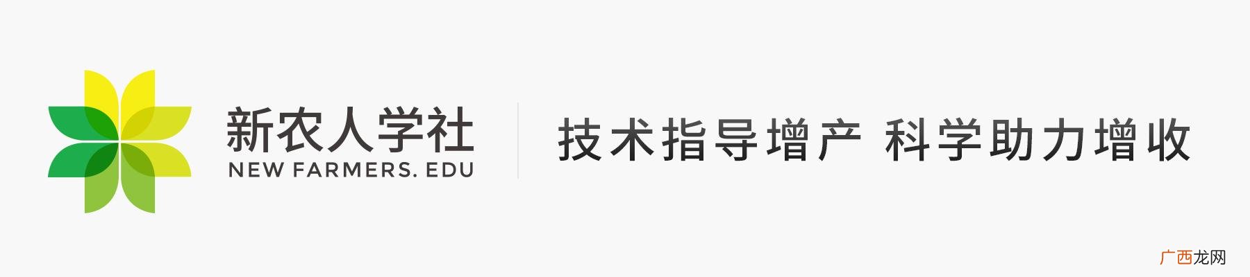 冷门创业门路,过去冷门创业门路