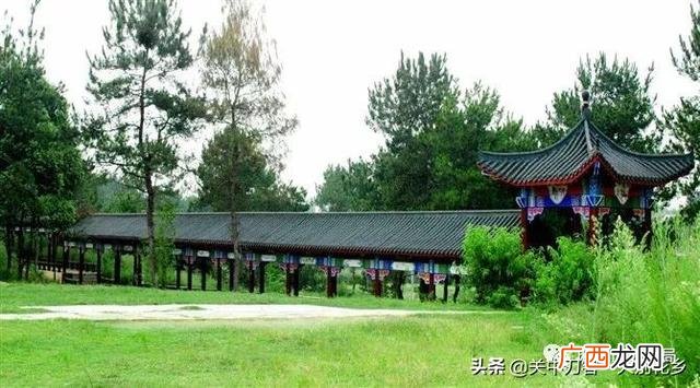 麻城岐亭镇10大首富 麻城创业干什么前景好