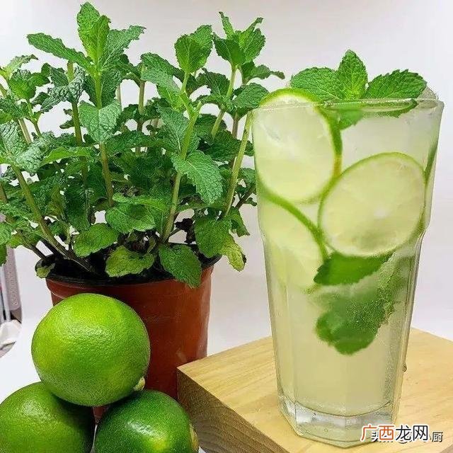 饮品制作配方,自制饮料配方夏季