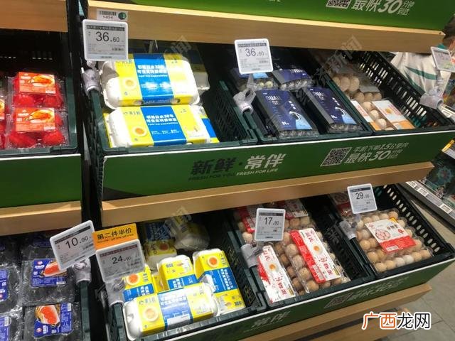 养殖鸡创业计划书,生态养殖项目创业计划书手机上可以做吗