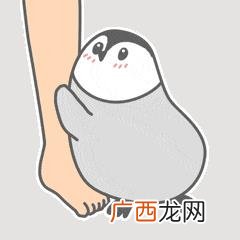 无基础自学cad难吗,零基础怎么自学CAD