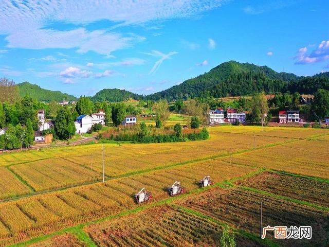 种植业调研报告,有机蔬菜种植项目可行性报告