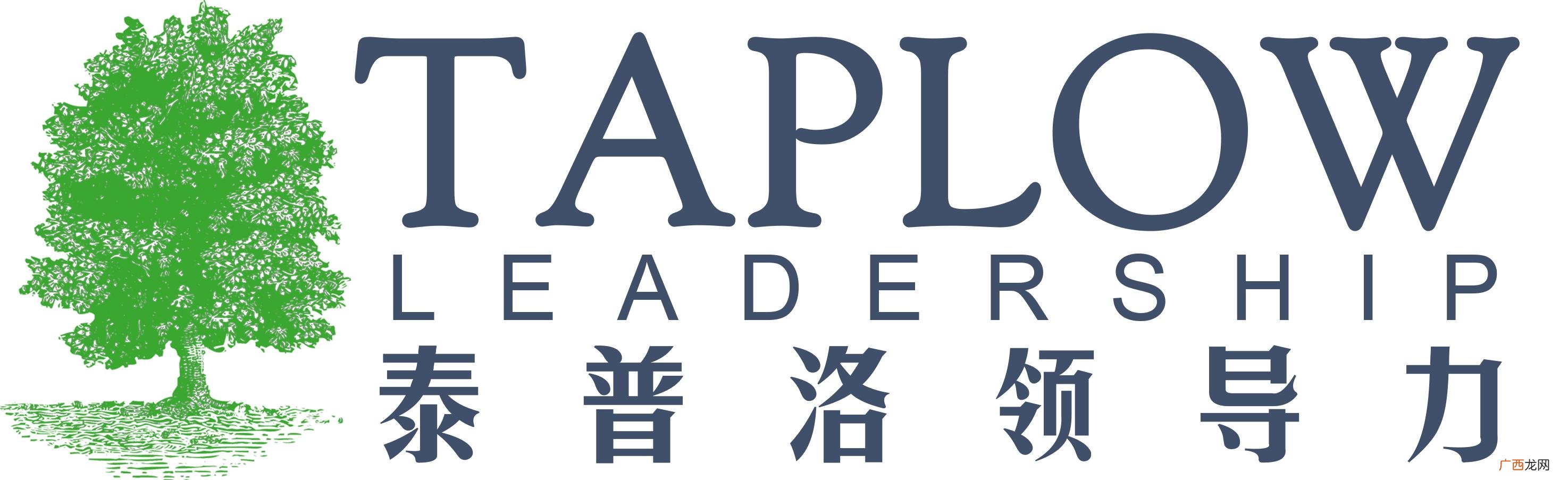 高级管理培训课程,管理者的培训课程