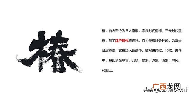 餐饮开店项目计划书模板 餐饮项目计划书模板范文