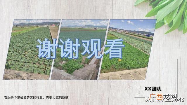 餐饮商业计划书完整版,简单的商业计划书