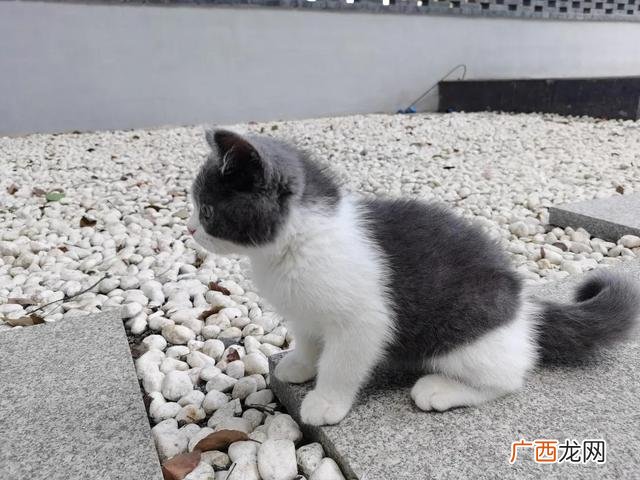 现代民宿设计图片欣赏 简单民宿设计图片欣赏