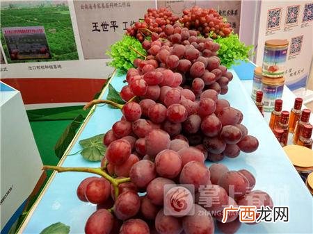 昆明市经开区创业园区,昆明创业园区
