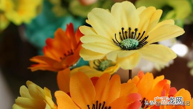李嘉诚创业成功的原因,李嘉诚的创业经历和经验