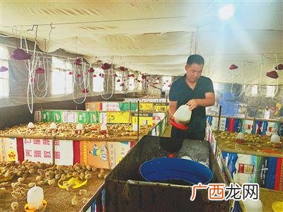 个人项目需要找投资商 有场地找资金合作养殖