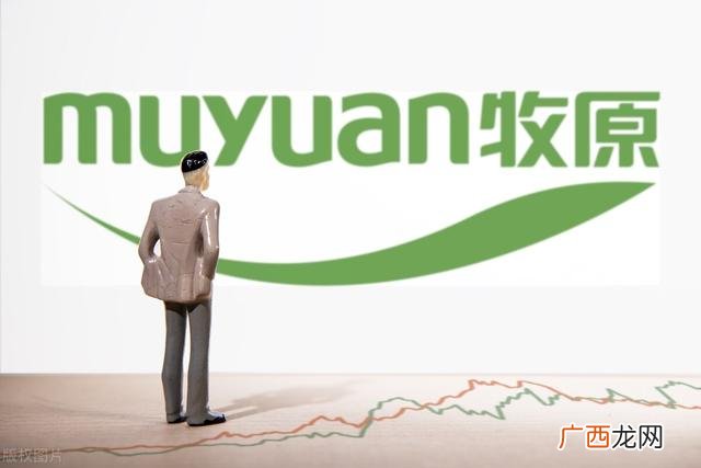 项目股权价值分析有用吗 项目股权投资价值分析报告