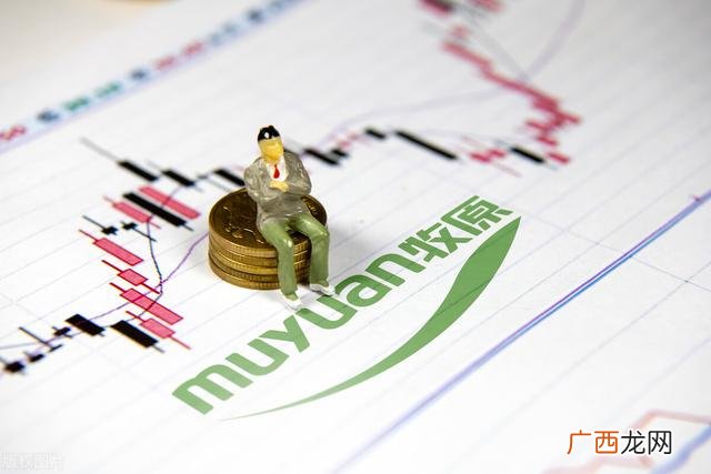 项目股权价值分析有用吗 项目股权投资价值分析报告