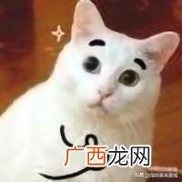 深圳创业园,深圳创业孵化基地