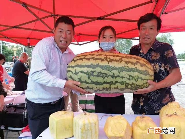 我国农业发展的有利条件 北京市发展观光农业优势条件