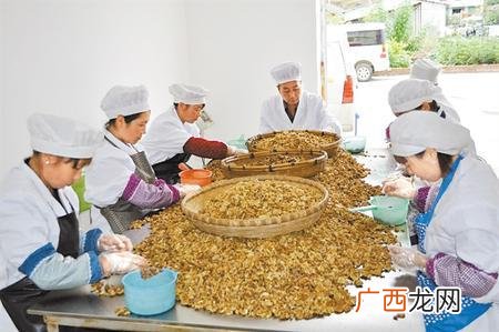 西和县长道镇,西和县创业贷款