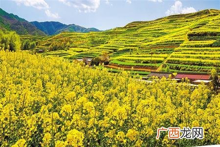 西和县长道镇,西和县创业贷款