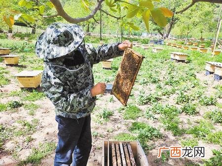 西和县长道镇,西和县创业贷款