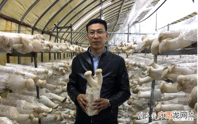 机械工程师创业开公司 机械专业创业