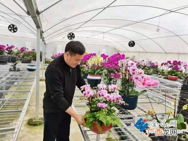开心农场创业计划书 农场创业计划书范文