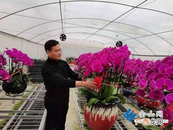 开心农场创业计划书 农场创业计划书范文