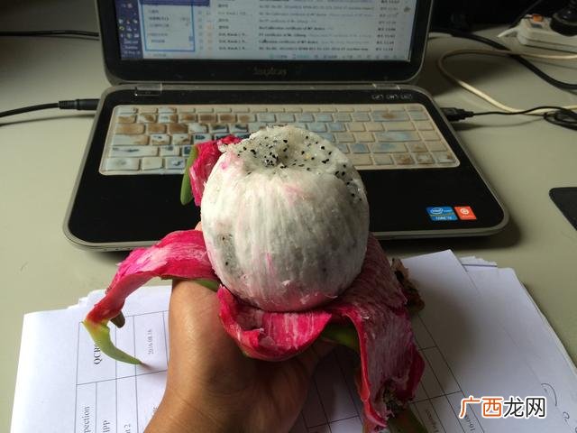 项目内容是什么意思 做项目是什么意思啊