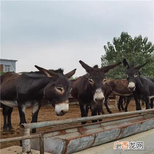 适合老百姓的生意,针对老百姓的创业项目