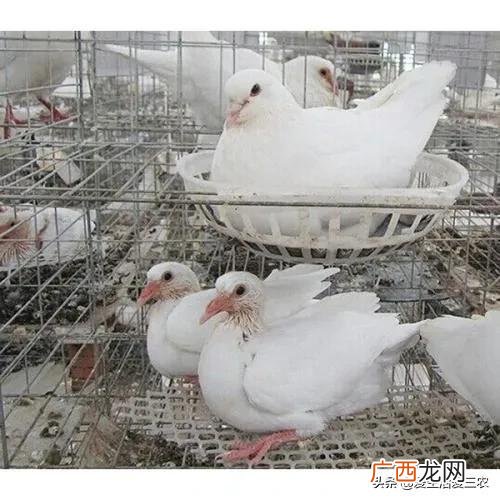 适合老百姓的生意,针对老百姓的创业项目