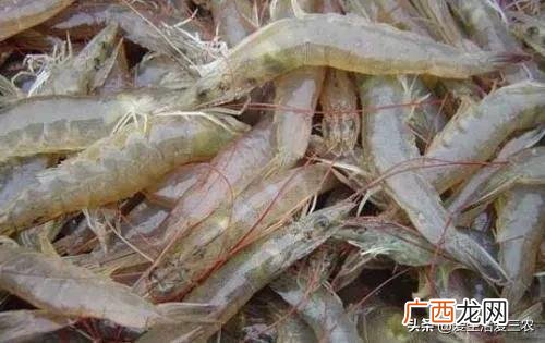 适合老百姓的生意,针对老百姓的创业项目