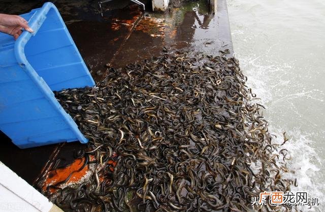 50个适合乡镇做的生意 现在冷门创业商机