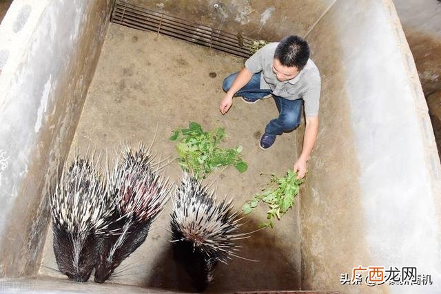 50个适合乡镇做的生意 现在冷门创业商机