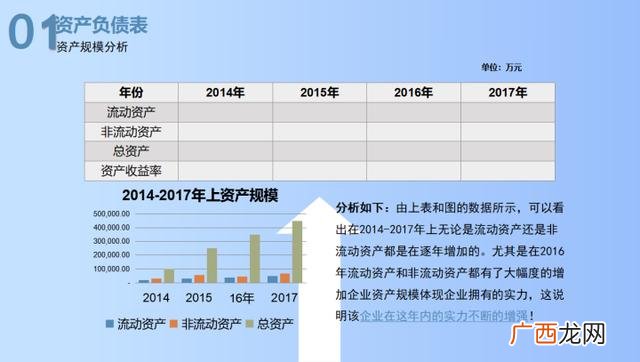 项目财务分析怎么写 投资项目财务分析报告