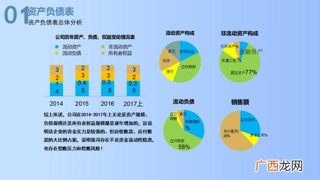 项目财务分析怎么写 投资项目财务分析报告
