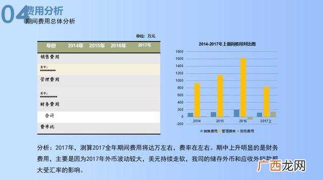 项目财务分析怎么写 投资项目财务分析报告