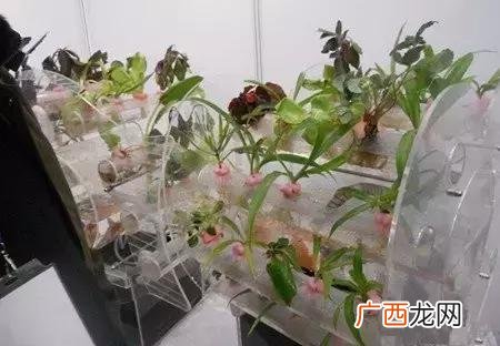 乡下最适合做什么生意,农村创业干什么赚钱