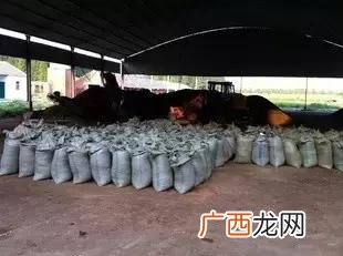 乡下最适合做什么生意,农村创业干什么赚钱