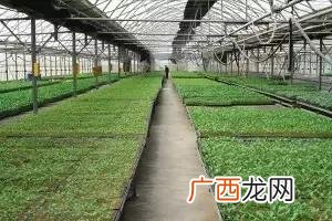 乡下最适合做什么生意,农村创业干什么赚钱