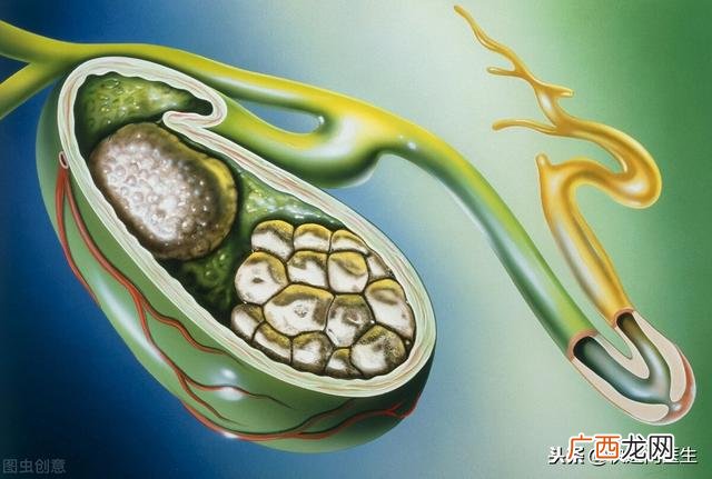 胰腺癌晚期能活多久,创业生存期多久