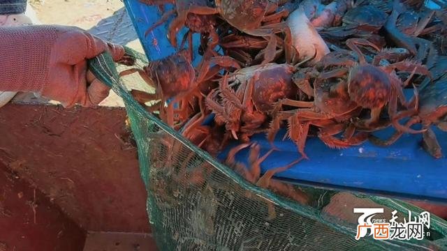 项目可行性研究报告 新疆水产养殖可行性研究报告
