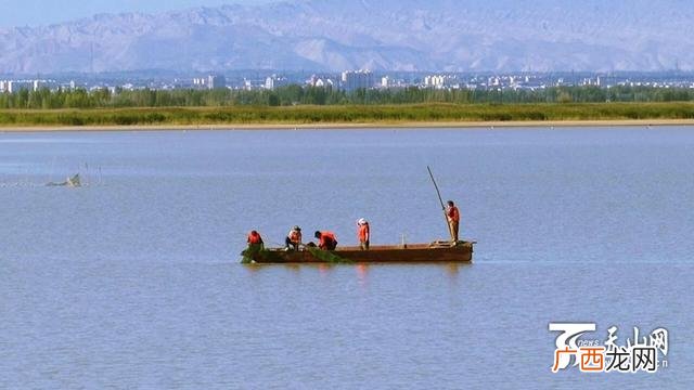 项目可行性研究报告 新疆水产养殖可行性研究报告
